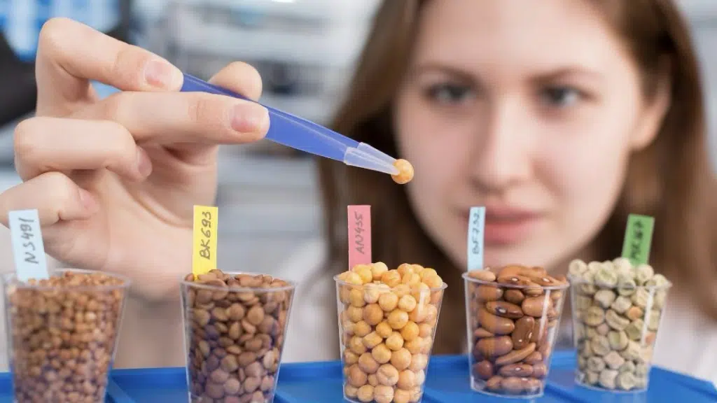 A person uses tweezers to hold a single chickpea above a row of labeled cups filled with various seeds and legumes.