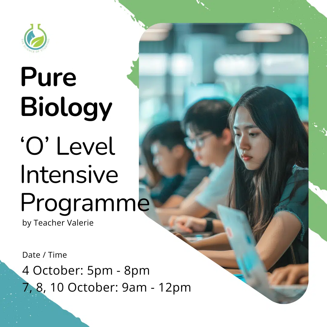 Students focused at desks in a classroom, promoting the Sec 3, Sec 4 Pure Biology October Intensive Programme with scheduled dates and times.