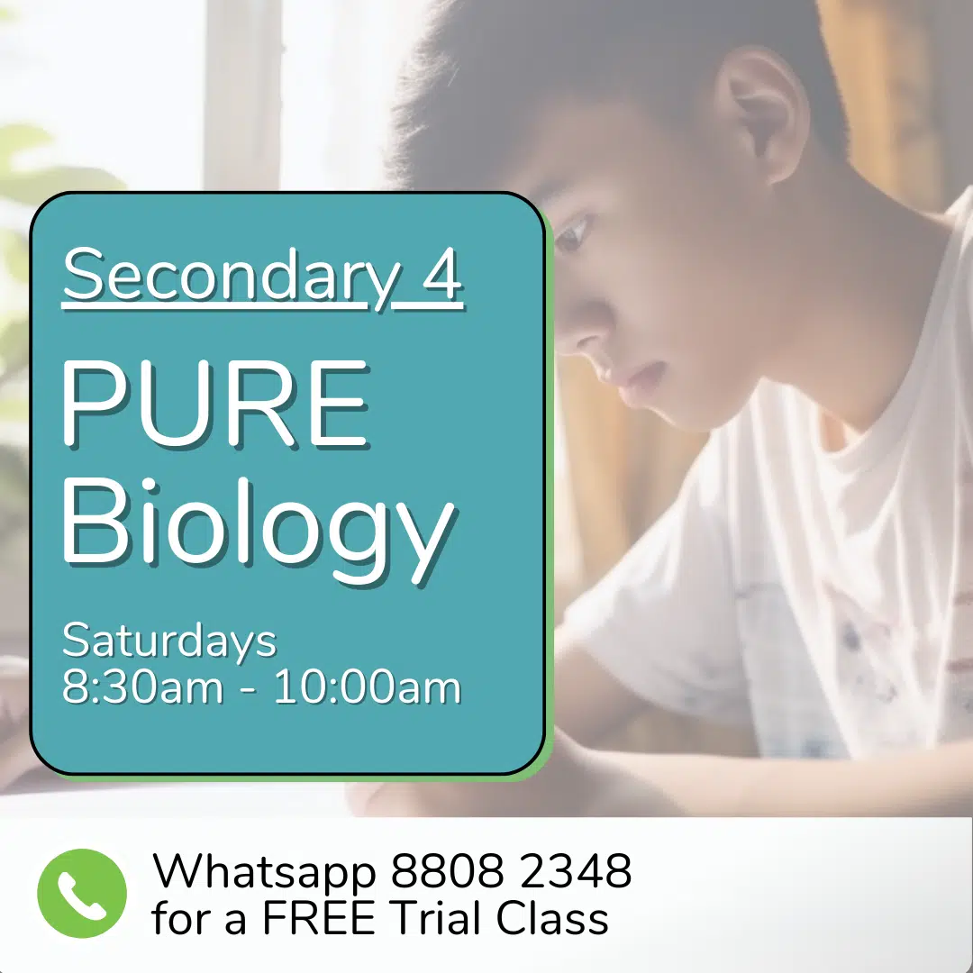 A student studies at a desk, with text promoting the Sec 3 (2025) Pure Biology class on Saturdays, 8:30am–10:00am, and a WhatsApp number for a free trial class.