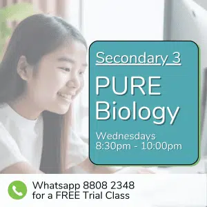 A student sits at a desk with text promoting Sec 4 (2025) Pure Biology classes on Wednesdays, 8:30pm–10:00pm, plus a WhatsApp number for a free trial class.