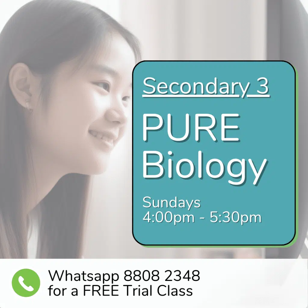 Teen girl gazes out window; overlay text promotes Sec 4 (2025) Pure Biology class, Sundays 4:00–5:30pm. WhatsApp for a free trial class.