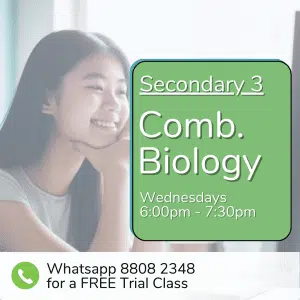 A student sits at a desk. Text promotes Sec 4 (2025) Comb Biology class every Wednesday, 6:00pm–7:30pm. WhatsApp now for a free trial!.