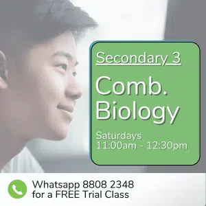 A student looks to the side; text reads "Sec 4 (2025) Comb Biology, Saturdays 11:00am - 12:30pm. Whatsapp 8808 2348 for a free trial class.
