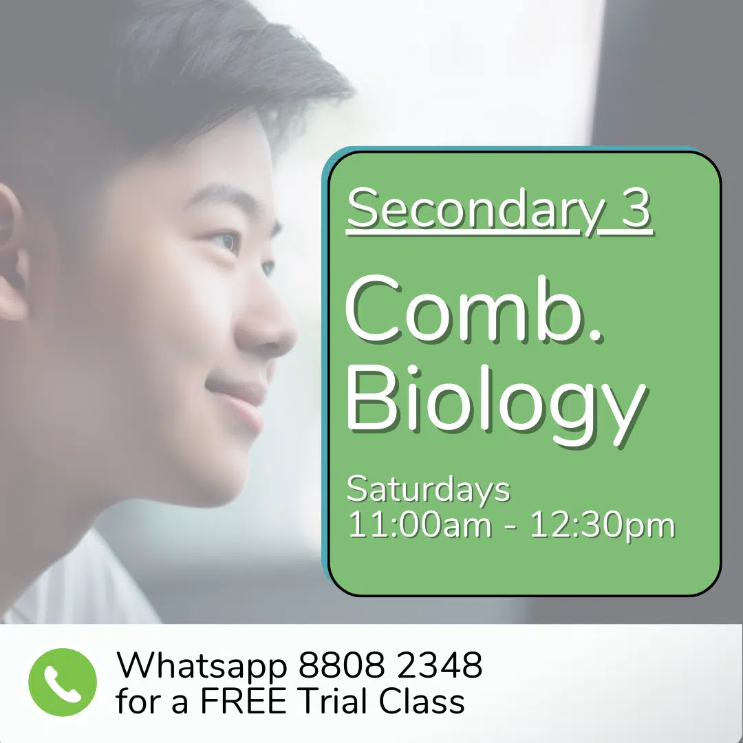A student looks to the side; text reads "Sec 4 (2025) Comb Biology, Saturdays 11:00am - 12:30pm. Whatsapp 8808 2348 for a free trial class.