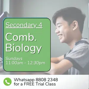 A smiling student uses a computer at a desk; text announces a free Sec 3 (2025) Comb Biology trial class on Sundays, 11:00am–12:30pm, with a WhatsApp contact for more info.
