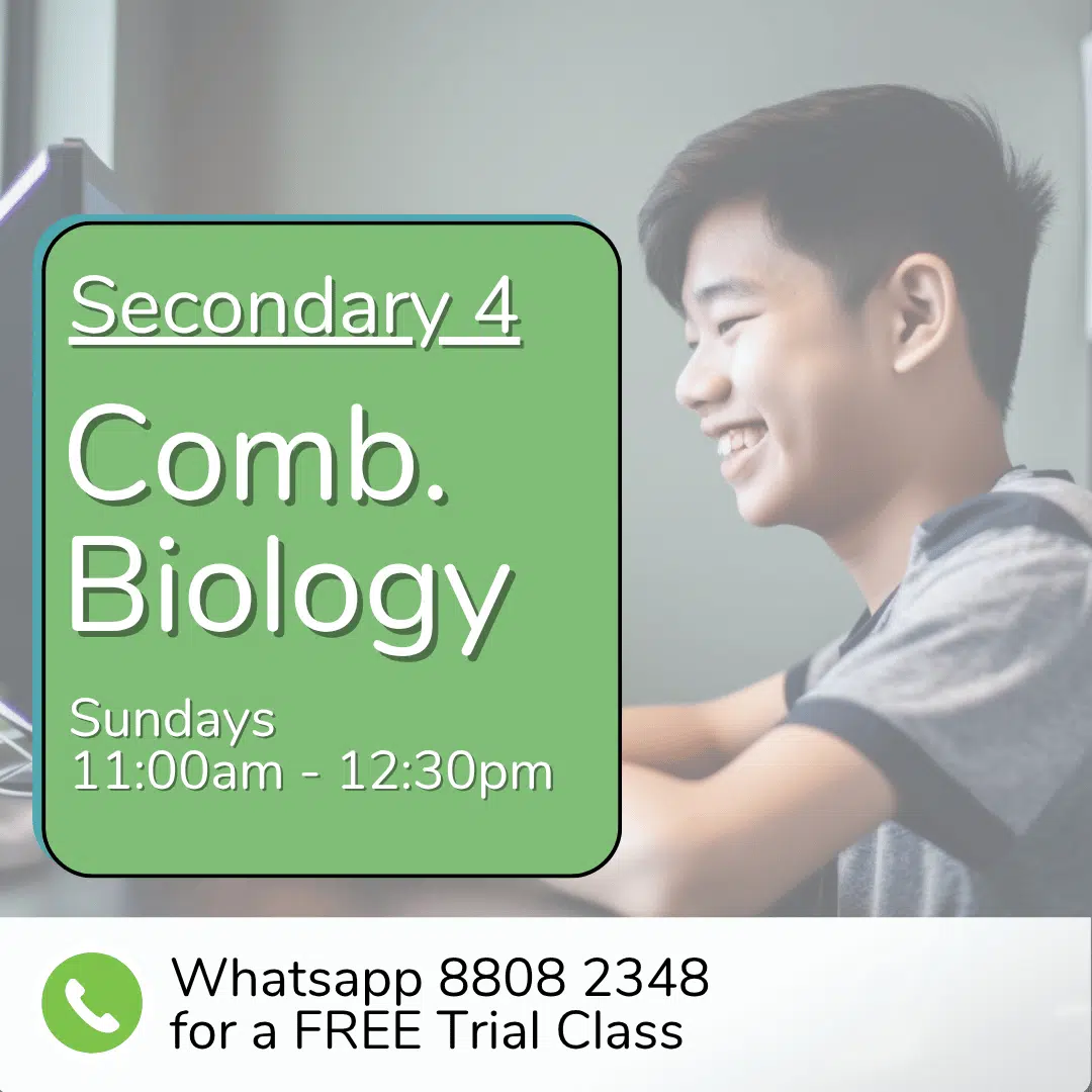 A smiling student uses a computer at a desk; text announces a free Sec 3 (2025) Comb Biology trial class on Sundays, 11:00am–12:30pm, with a WhatsApp contact for more info.