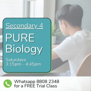 A student sits at a desk by a window. Text: "Sec 4 (2026) Pure Biology, Saturdays 3:15pm–4:45pm. WhatsApp 8808 2348 for a free trial class.