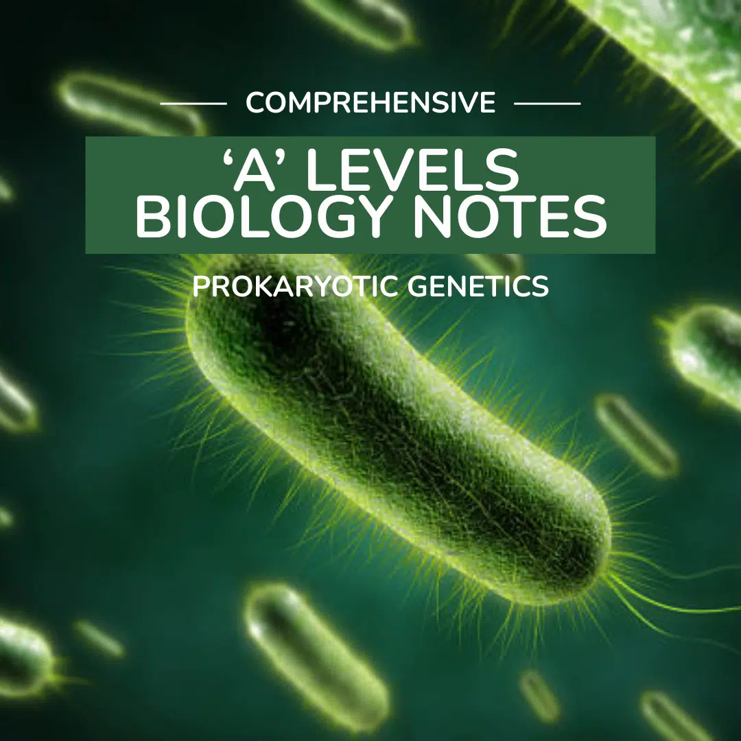 Close-up illustration of prokaryotic cells with the text "Comprehensive 'A' Levels Biology Notes: Prokaryotic Genetics" displayed in the center.