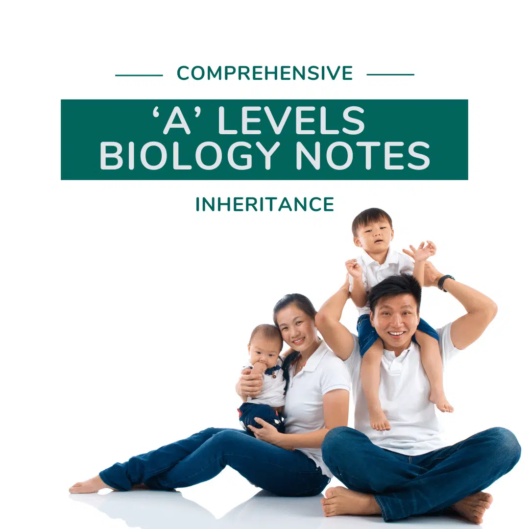 A smiling family of four sits together on the floor under a banner that reads "Comprehensive 'A' Levels Biology Notes - Inheritance.