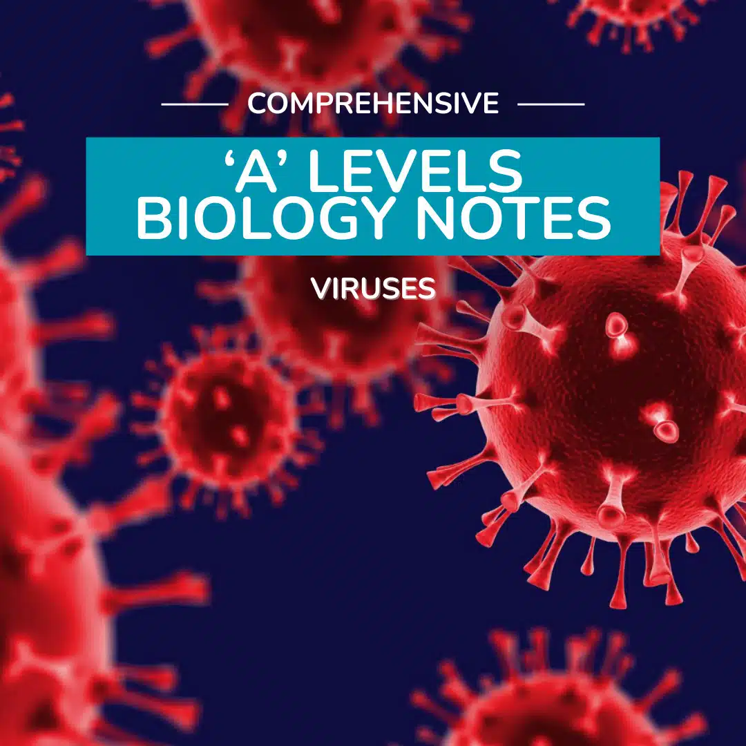 Red 3D-rendered virus particles on a dark background, with text reading "Comprehensive 'A' Levels Biology Notes: Viruses.