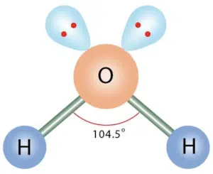 Diagram of a water (H2O) molecule showing one oxygen atom bonded to two hydrogen atoms with a 104.5° bond angle and two lone pairs on the oxygen.