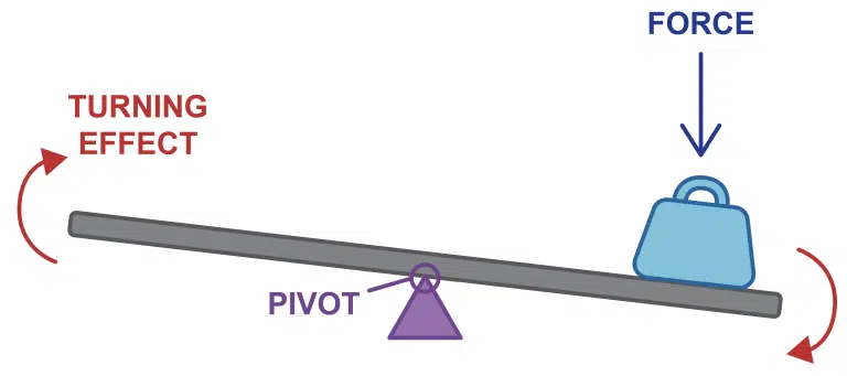 A force presses down on one end of a lever, causing it to rotate around a pivot; arrows indicate force and turning effect directions, much like the adaptations seen in Biological Evolution.