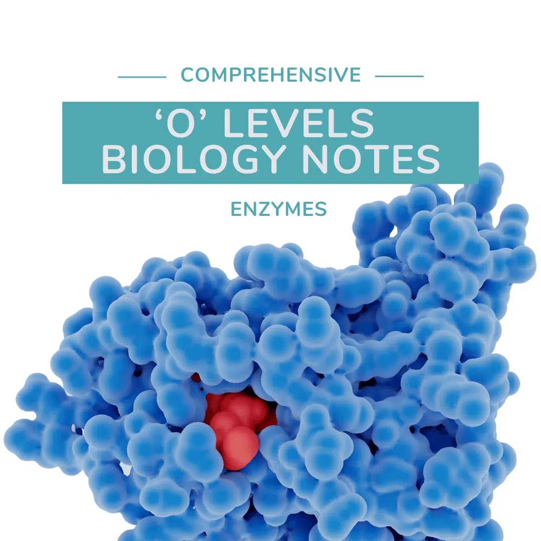 O Level biology notes