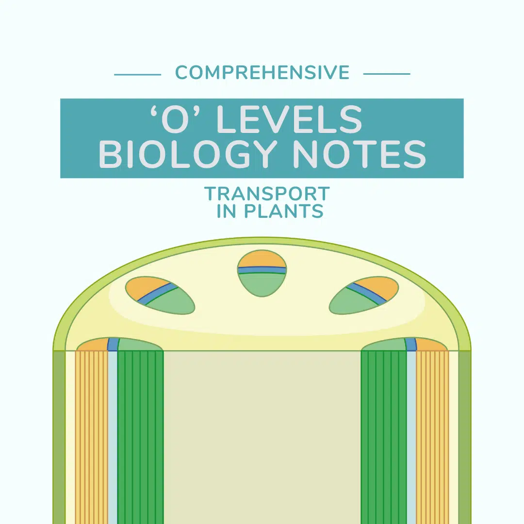 O Level biology notes