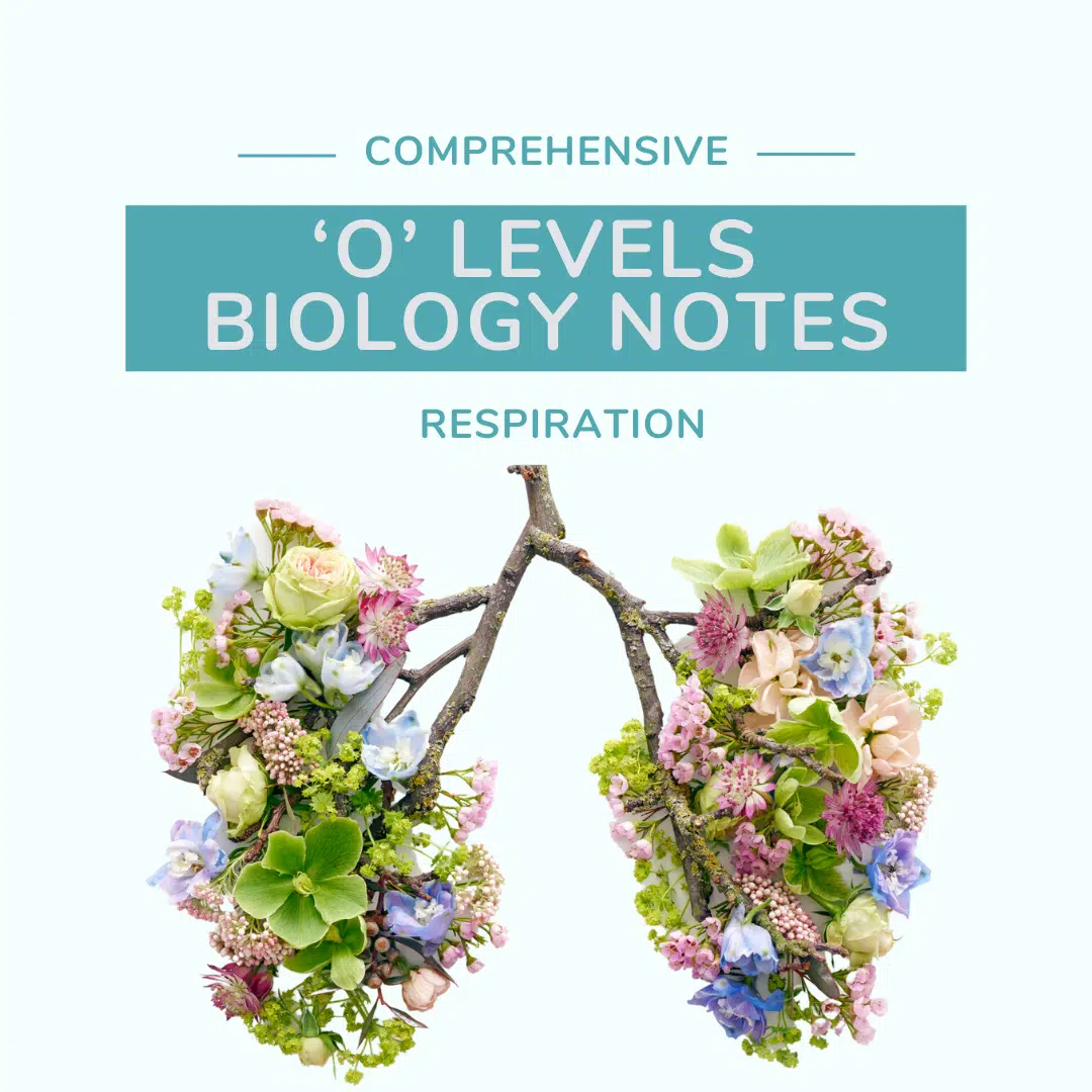 O Level biology notes