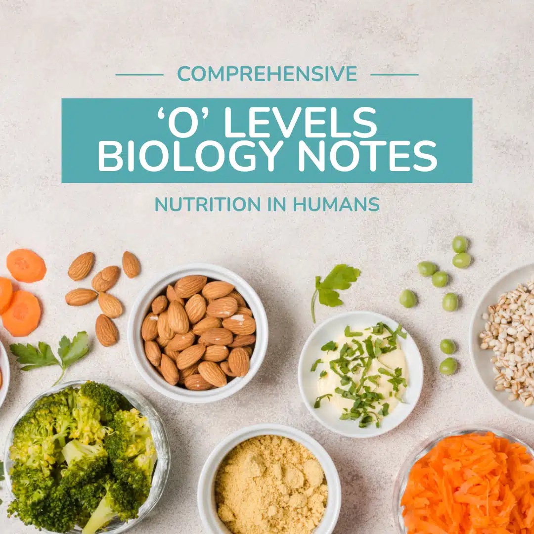 Flat lay of various healthy foods in small bowls, including almonds, broccoli, grains, and shredded carrots, with text reading “Comprehensive ‘O’ Levels Biology Notes: Nutrition in Humans.”.