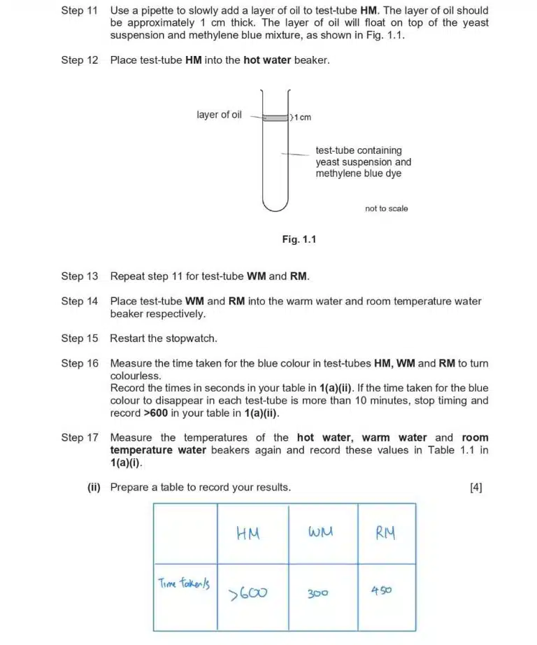 A set of step-by-step science experiment instructions with a diagram showing a test tube containing water, oil, test-tube contents, and labels indicating each part.