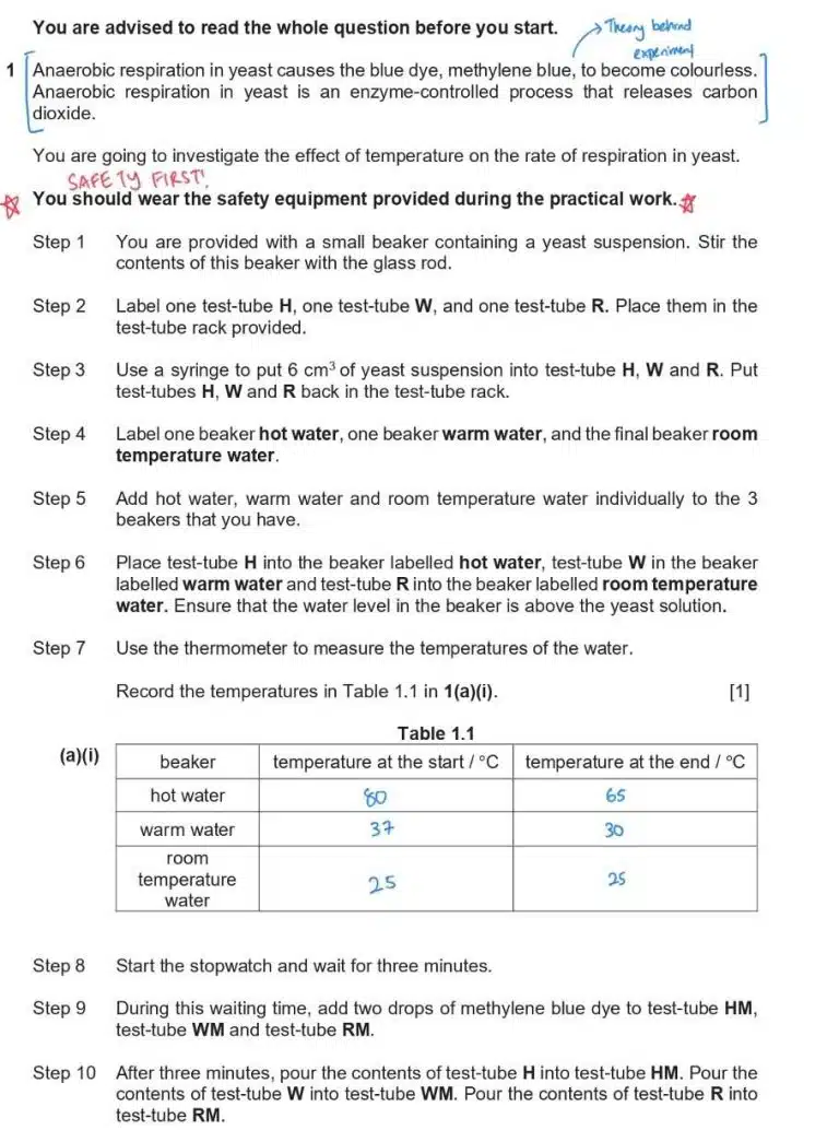 A set of instructions for a respiration experiment in yeast, with handwritten notes highlighting safety advice, Experimental Techniques, and theory for a practical science task involving test tubes and temperature changes.