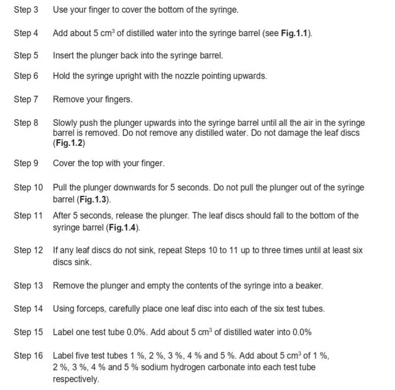 A list of step-by-step laboratory instructions for preparing and using a syringe, loading samples, and labeling test tubes for an experiment.