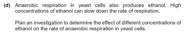 Text explaining that anaerobic respiration in yeast produces ethanol, which can slow respiration, followed by a prompt to investigate ethanol concentration effects on yeast respiration rate.