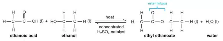 Diagram showing the esterification reaction: ethanoic acid and ethanol, both containing specific functional groups, form ethyl ethanoate and water in the presence of heat and concentrated sulfuric acid.
